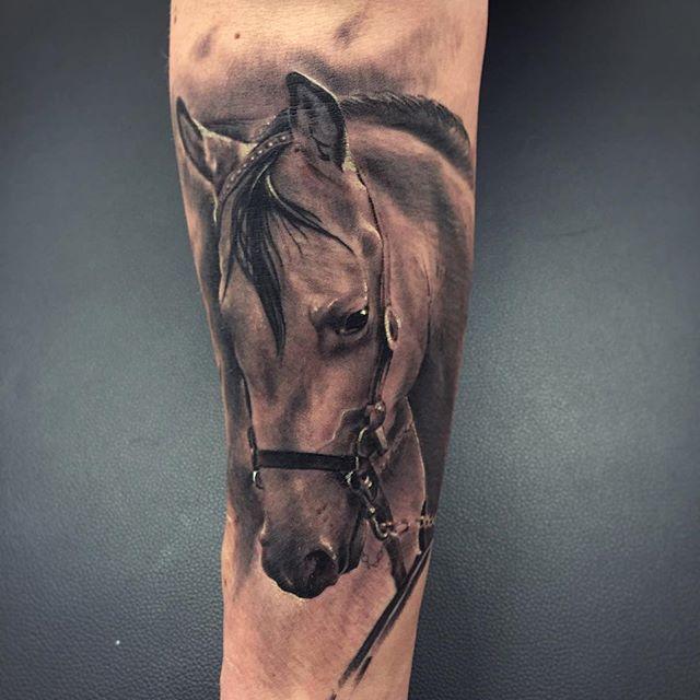 Pferd Tattoo 67
