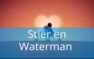 Stier en Waterman
